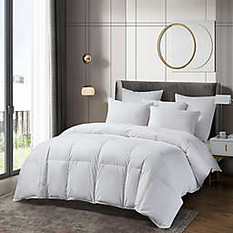 Beautyrest® First-In-Class Collection TENCEL® Lyocell Comforter in White