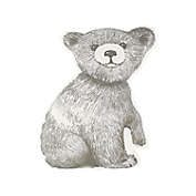 ever &amp; ever&trade; Bear Picnic Throw Pillow in Grey