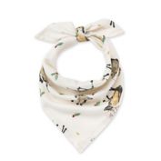 Burt's Bees Baby&reg; Northern Reindeer Organic Cotton Pet Bandana in Cardinal