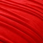 Alternate image 2 for Winter Wonderland Holiday Solid Full/Queen Throw Blanket in Red