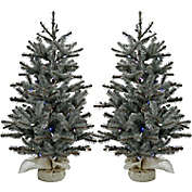 Christmas Time Yardville Pine Pre-Lit Faux Porch Trees with Multicolor Lights (Set of 2)