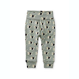 Tea Collection Size 18-24M Cat Print Pants in Green