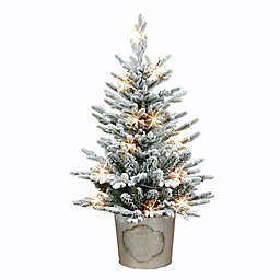 Puleo International 3-Foot Pine Potted Flocked Christmas Tree with Warm White LED Lights