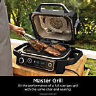 Alternate image 6 for Ninja Woodfire&trade; 7-in-1 Outdoor Grill & Smoker in Grey