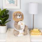 Alternate image 1 for My Tiny Moments&reg; Lion 2-Piece Swaddle Blanket and Plush Animal Toy Gift Set in Brown