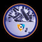 Alternate image 4 for Shark&trade; Anti-Allergen HEPA NANOSEAL&trade; Air Purifier Filter