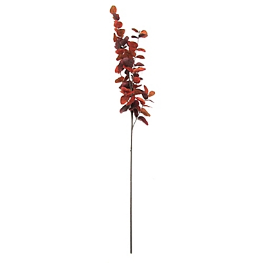 Bee & Willow&trade; Eucalyptus Stem in Red. View a larger version of this product image.