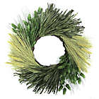 Alternate image 0 for Bee & Willow&trade; 24-Inch Hops Sunflower Corn Husk Decorative Wreath in Cream/Green