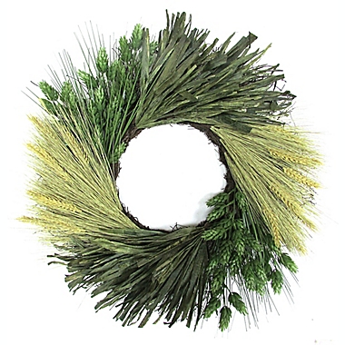 Bee & Willow&trade; 24-Inch Hops Sunflower Corn Husk Decorative Wreath in Cream/Green. View a larger version of this product image.