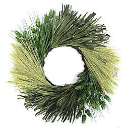 Bee & Willow™ 24-Inch Hops Sunflower Corn Husk Decorative Wreath in Cream/Green