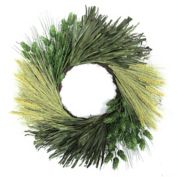 Bee &amp; Willow&trade; 24-Inch Hops Sunflower Corn Husk Decorative Wreath in Cream/Green