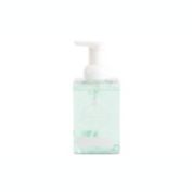 Maison de Base 16 fl. oz. Foaming Hand Soap in Peppermint