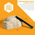 Alternate image 8 for Discovery&trade; #MINDBLOWN Brain Blast Mystery Dig Kit