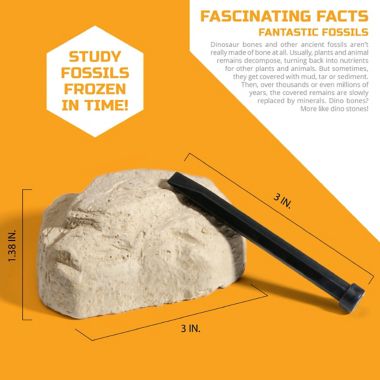 Discovery&trade; #MINDBLOWN Brain Blast Mystery Dig Kit. View a larger version of this product image.