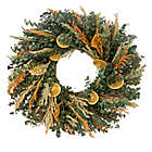 Alternate image 0 for Bee &amp; Willow&trade; 20-Inch Eucalyptus Decorative Wreath in Green