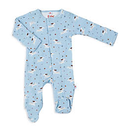 E=MC2 Newborn All Paw's Down Magnetic Footie in Blue
