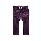Tea Collection Velour Jogger Pant in Purple