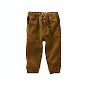 Tea Collection&reg; Corduroy Pant in Brown