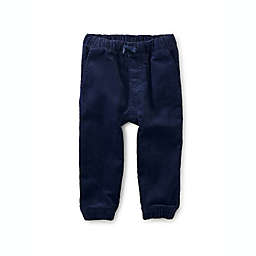 Tea Collection® Corduroy Pant in Navy