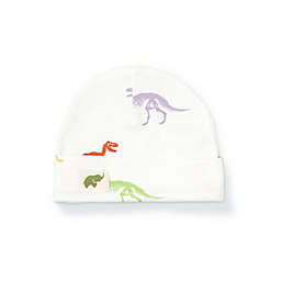 Monica + Andy® Size 0-6M Rainbow Dinosaur Organic Cotton Cap