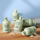 Alternate image 1 for pipette&trade; 11.8 fl. oz. Fragrance-Free Baby Shampoo &amp; Wash