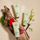 Alternate image 1 for pipette&trade; 5.7 fl. oz. Rose and Geranium Baby Lotion