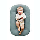 Alternate image 1 for Snuggle Me&trade; Organic Infant Lounger in Slate