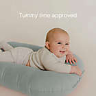 Alternate image 5 for Snuggle Me&trade; Organic Infant Lounger in Slate