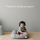 Alternate image 6 for Snuggle Me&trade; Organic Infant Lounger in Slate