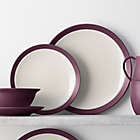 Alternate image 2 for Noritake&reg; Colorwave Curve Dinnerware Collection