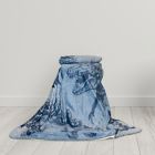 Alternate image 1 for Morning Bird&reg;  Jurassic World&trade; Plush Throw Blanket in Blue