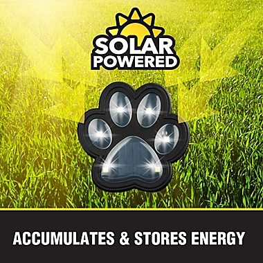 Bell + Howell Paw Print Solar Disk Lights in Black/Clear (Set of 4). View a larger version of this product image.