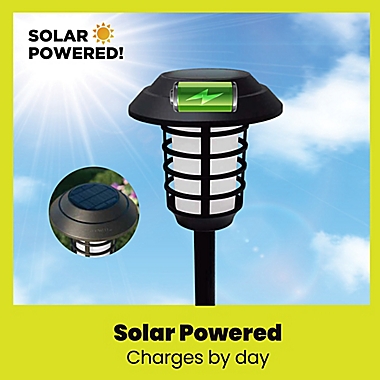 Bell + Howell Solar Pathway Lights with Remote in Black (Set of 4). View a larger version of this product image.