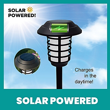 Bell + Howell Stainless Steel Outdoor Solar Pathway Lights in Black (Set of 4). View a larger version of this product image.