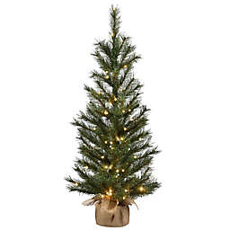 National Tree Company 4-Foot Frosted Ontario Pine Christmas Tree with LED Lights