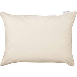 AllerEase® Naturals 230-Thread-Count Organic Cotton Standard Pillow Case