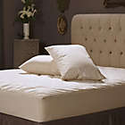 Alternate image 1 for AllerEase&reg; Naturals Organic Cotton Standard/Queen Bed Pillow