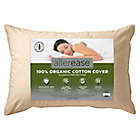Alternate image 2 for AllerEase&reg; Naturals Organic Cotton Standard/Queen Bed Pillow