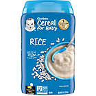Alternate image 13 for Gerber&reg; 8 oz. Single Grain Rice Cereal