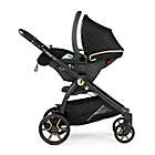 Alternate image 1 for Peg Perego Ypsi Stroller in Graphic Gold