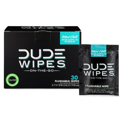Dude Wipes&reg; On-The-Go 30-Count Singles in Mint Chill