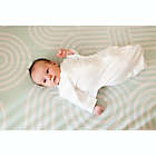 Alternate image 3 for Butterfly Swaddle&trade; Small Swaddle and Transitional Sleep Sack in One in Oat