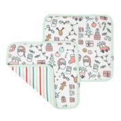 Copper Pearl&reg; 2-Pack Cindy 3-Layer Security Blanket in Pink