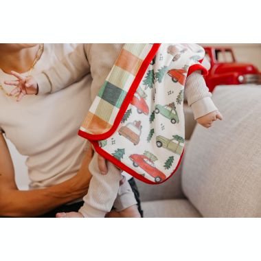 Copper Pearl&reg; 2-Pack Griswold 3-Layer Security Blanket in Red. View a larger version of this product image.