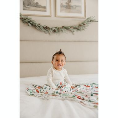 Copper Pearl&reg; Griswold Knit Swaddle Blanket in Red. View a larger version of this product image.