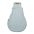 Alternate image 0 for DockATot&reg; Size 0-6M Reversible Cotton Sleep Bag in Avocado