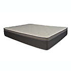 Alternate image 4 for Primo Equilibria 12&quot; Pocket Coil Hybrid Mattress