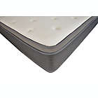 Alternate image 1 for Primo Equilibria 12&quot; Pocket Coil Hybrid Mattress