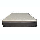 Alternate image 5 for Primo Equilibria 12&quot; Pocket Coil Hybrid Mattress