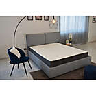 Alternate image 0 for Primo Equilibria 8&quot; Pocket Coil Hybrid Mattress